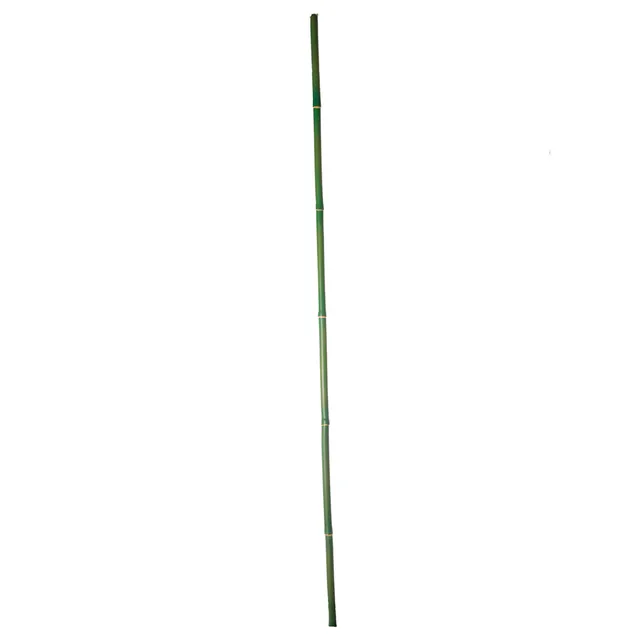 sia-deco-noah-branche-de-bambou-artificielle-vert-120-cm image 1