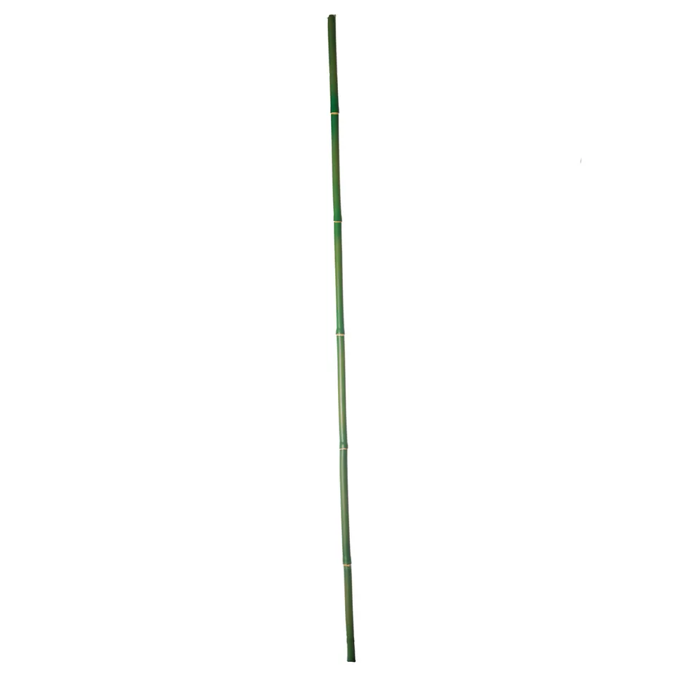 sia-deco-noah-branche-de-bambou-artificielle-vert-120-cm image 1