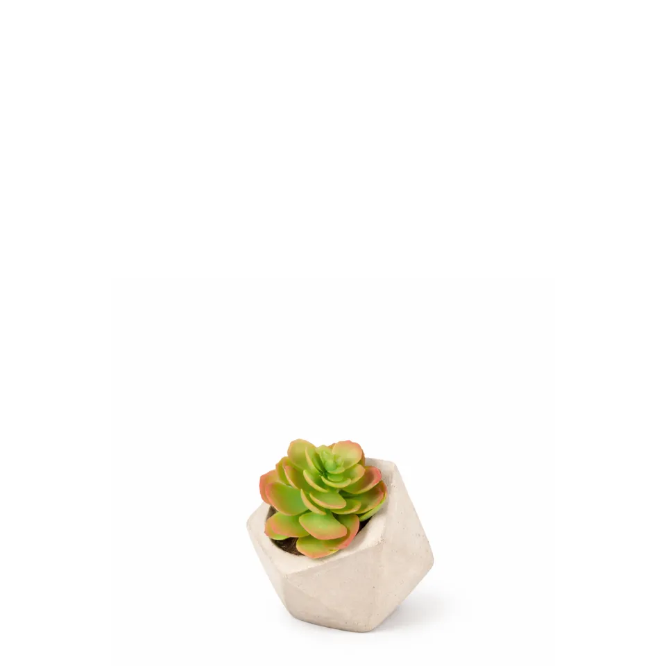 sia-noah-echeveria-plante-artificielle-verte-en-pot-14-cm image 1