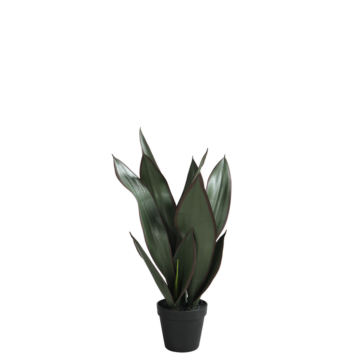sia-deco-noah-sansevieria-plante-artificielle-verte-49-cm image 1