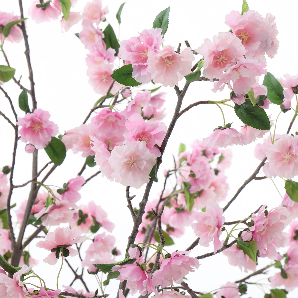 sia-noah-cerisier-en-fleurs-artificiel-rose-en-pot-245cm image 3
