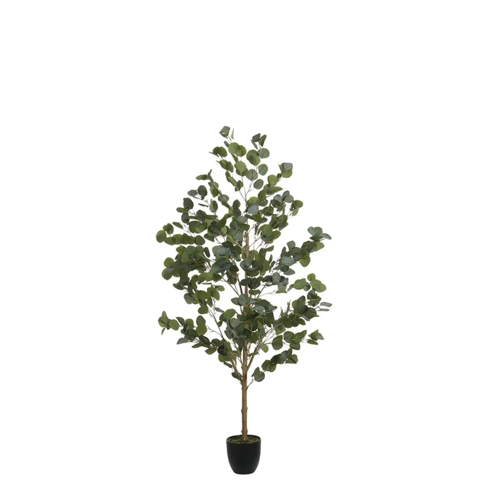 sia-noah-eucalyptus-artificiel-150-cm-vert image 1