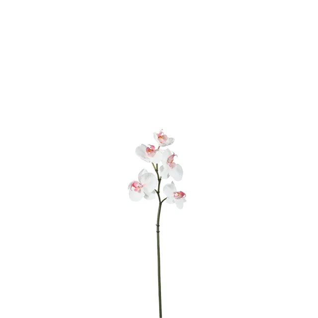sia-deco-noah-orchid-e-phalaenopsis-blanche-45-cm image 1