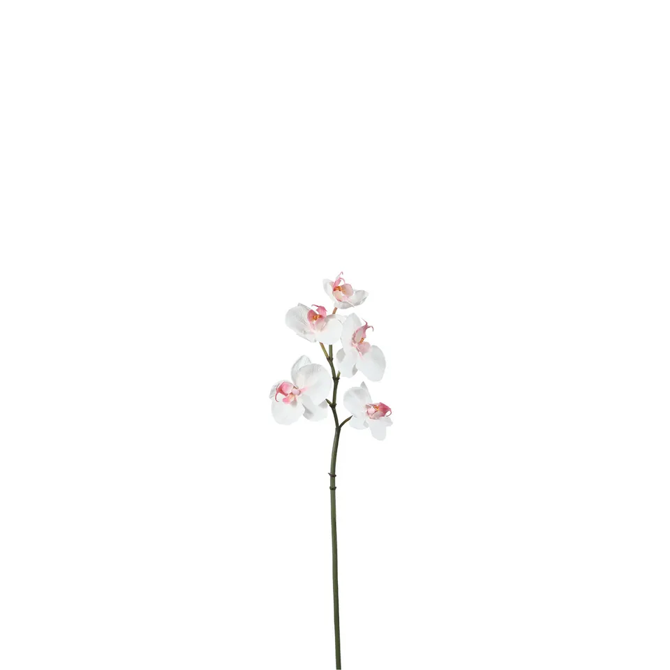 sia-deco-noah-orchid-e-phalaenopsis-blanche-45-cm image 1