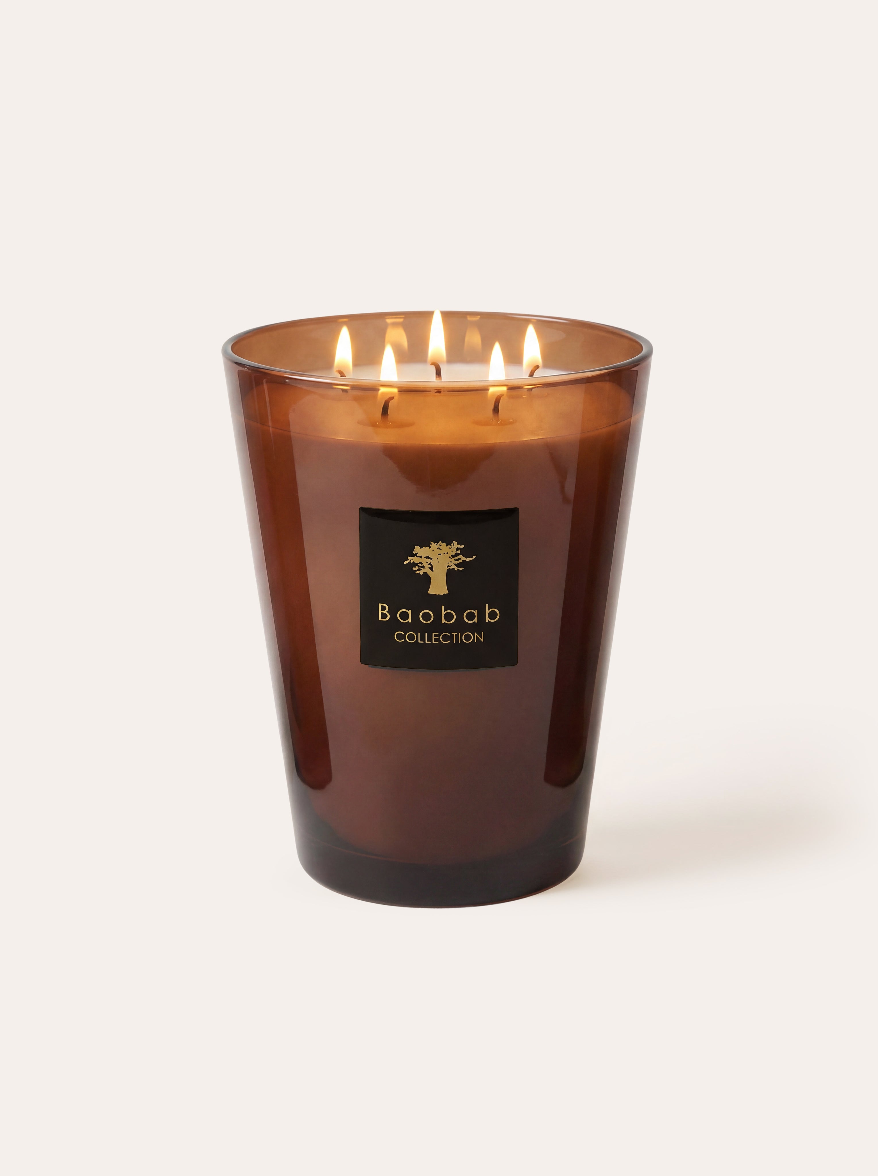 baobab-collection-les-prestigieuses-cuir-de-russie-bougie-classique image 1