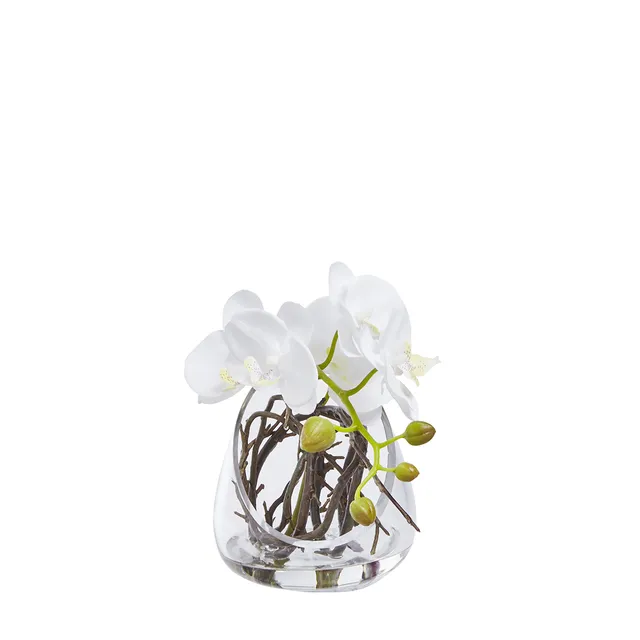 sia-noah-composition-d-orchid-e-artificielle-blanc-19-cm image 1