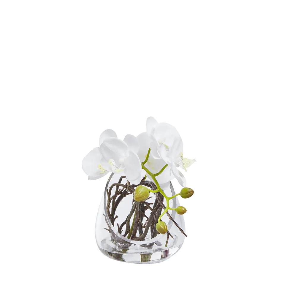 sia-noah-composition-d-orchid-e-artificielle-blanc-19-cm image 1