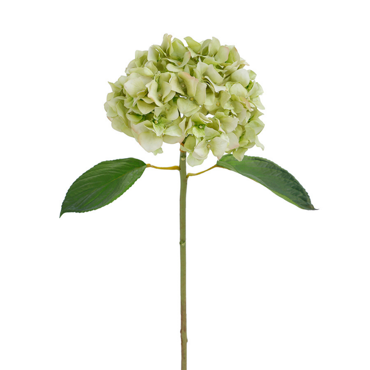 sia-deco-noah-tige-hortensia-artificielle-45-cm-blanc-et-rose image 8