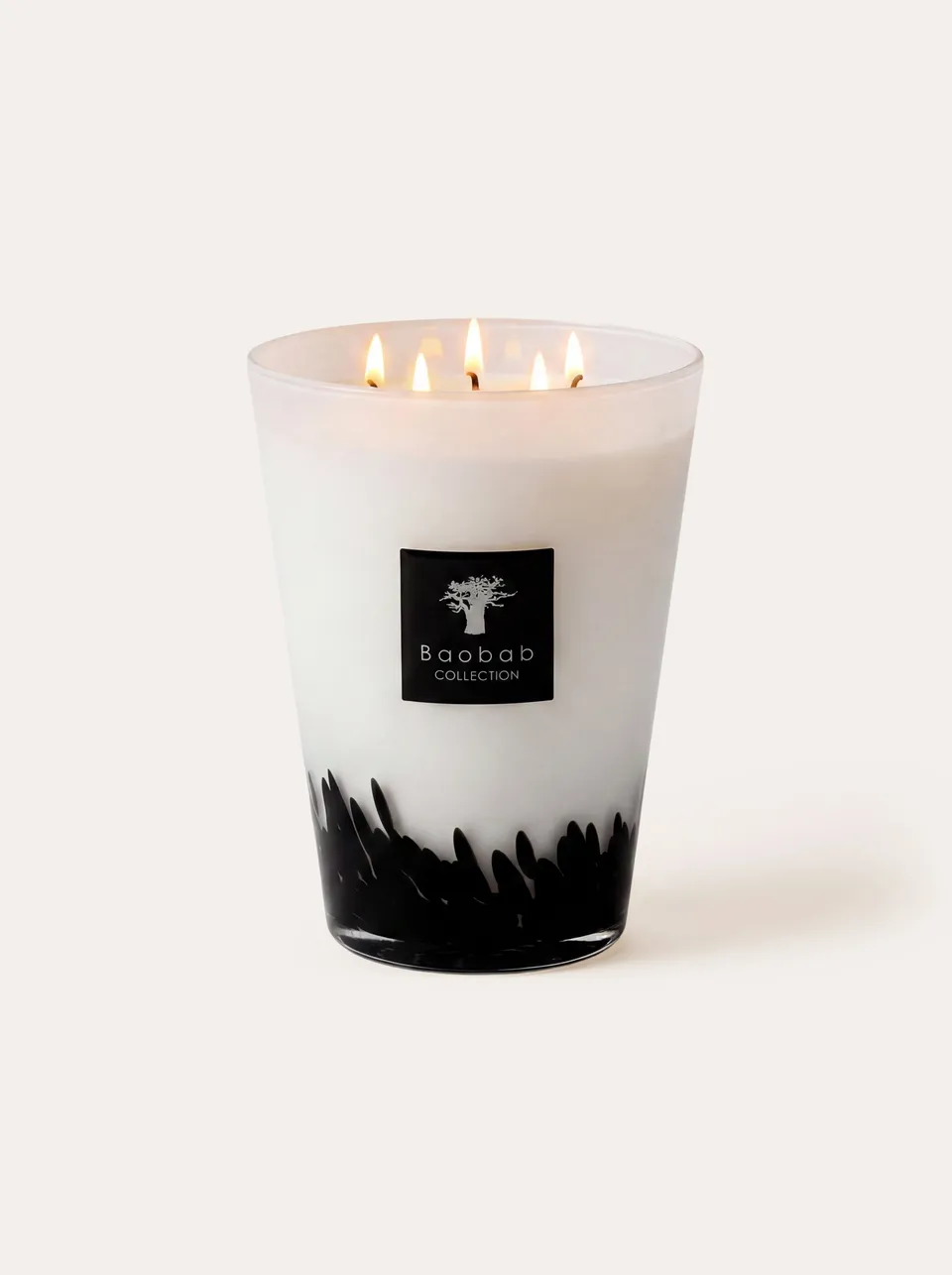 baobab-collection-feathers-bougie-parfum-e-classique-verre-noir image 1