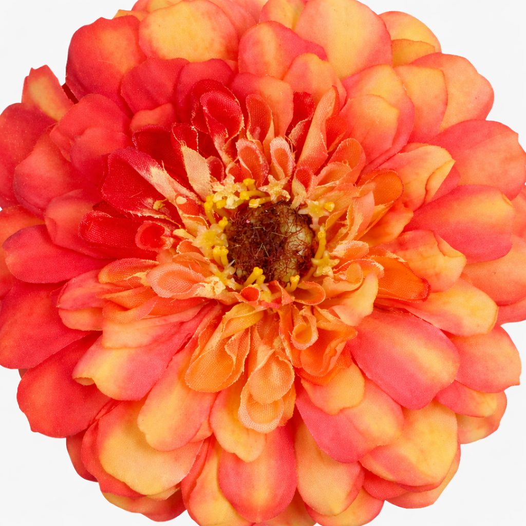 sia-deco-noah-tige-zinnia-artificiel-orange-68-cm image 3