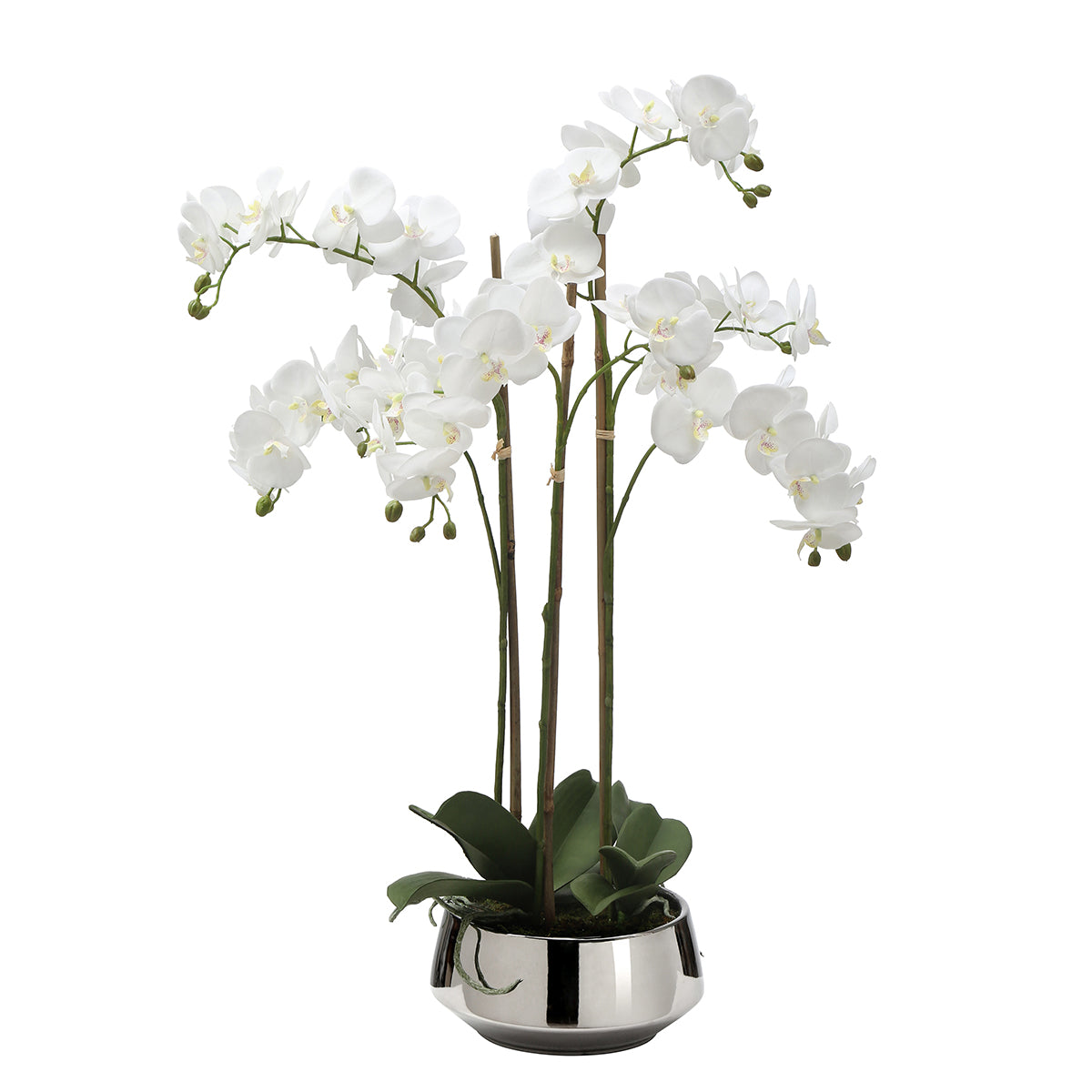 sia-deco-noah-lena-8-branches-orchid-e-artificielle-blanc-vase-dor image 7