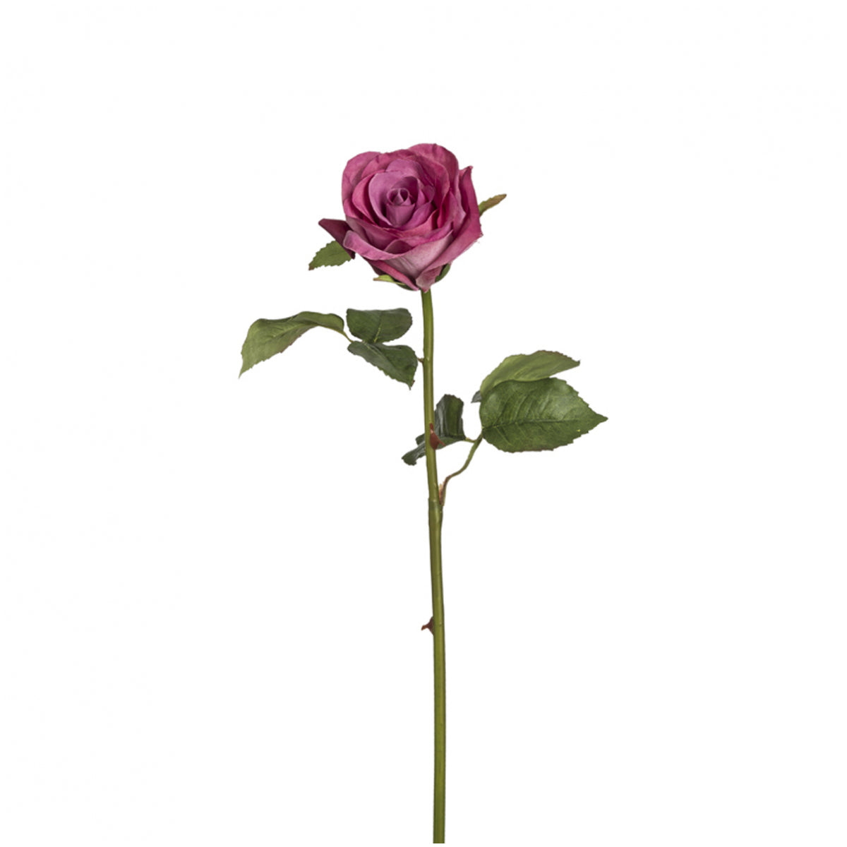 sia-noah-diane-tige-rose-artificielle-53cm-cr-me image 5