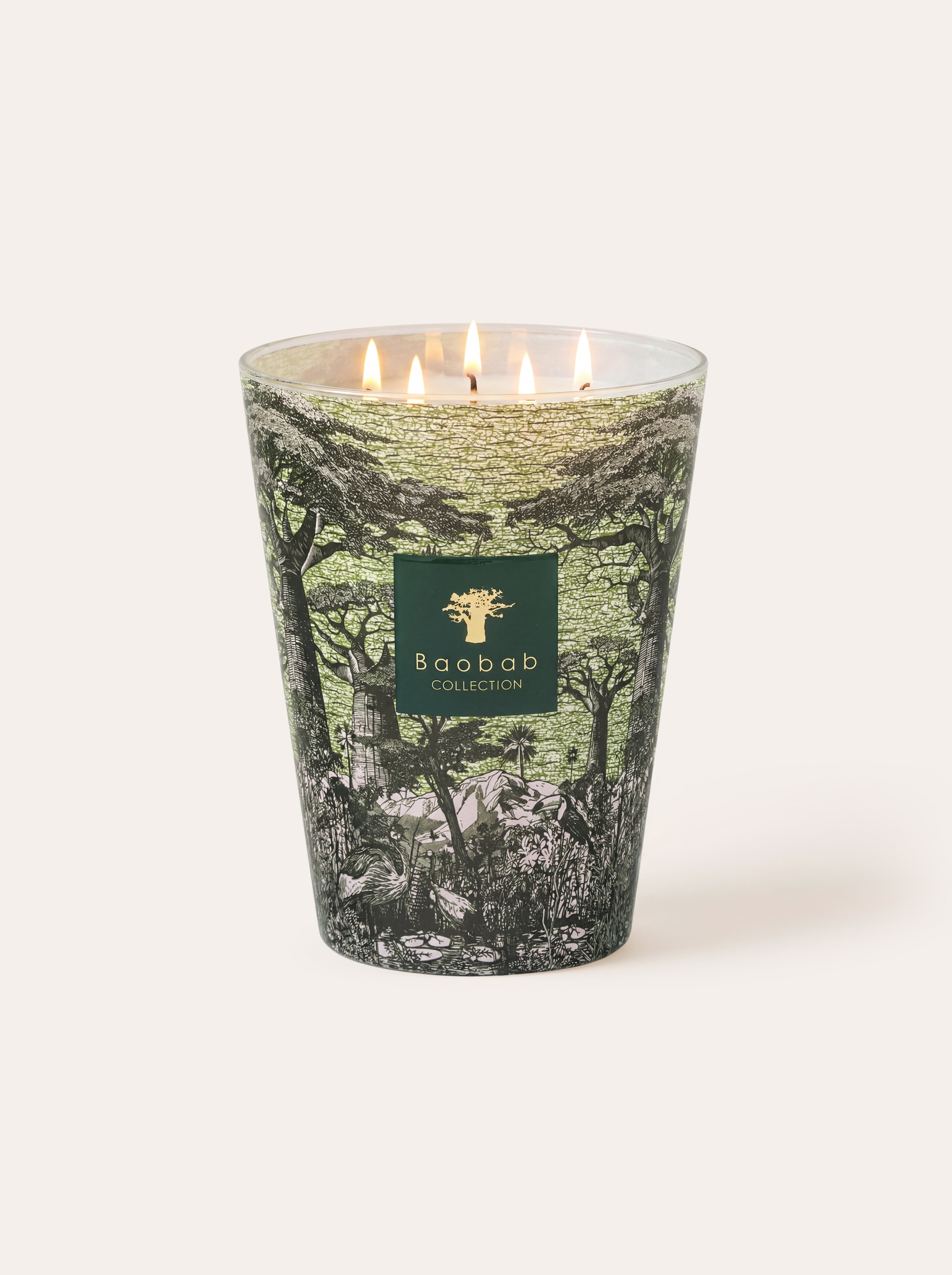 baobab-collection-touba-bougie-parfum-e-classique-sacred-trees image 1