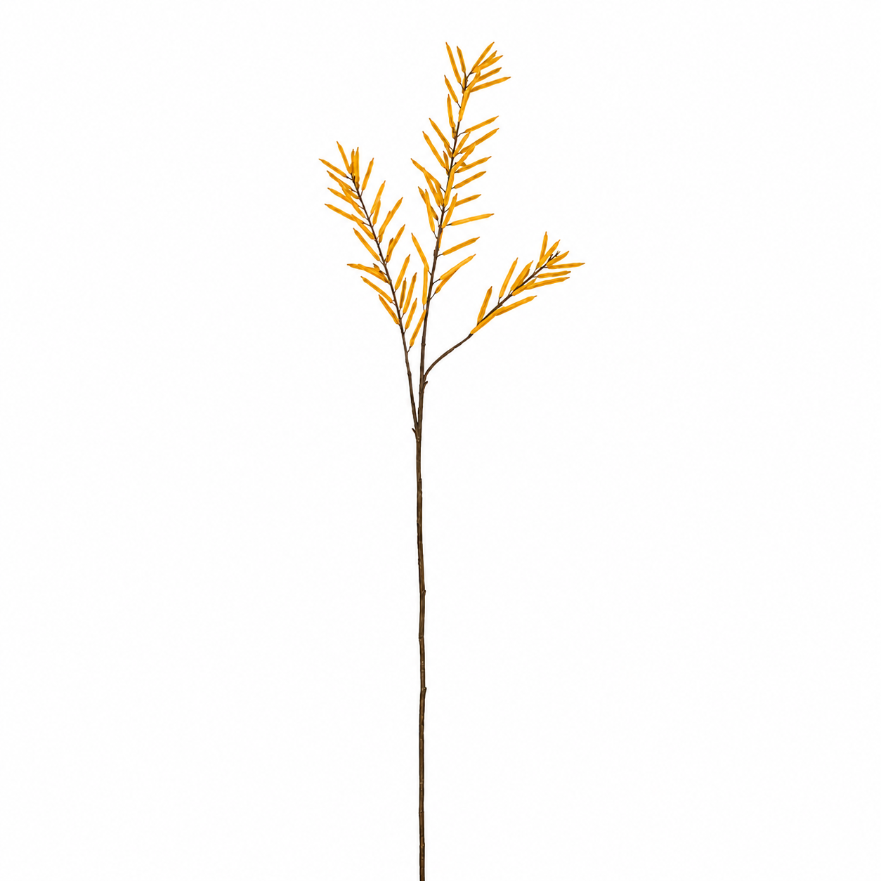 sia-deco-noah-tige-haricots-artificielle-marron-jaune-114cm image 3