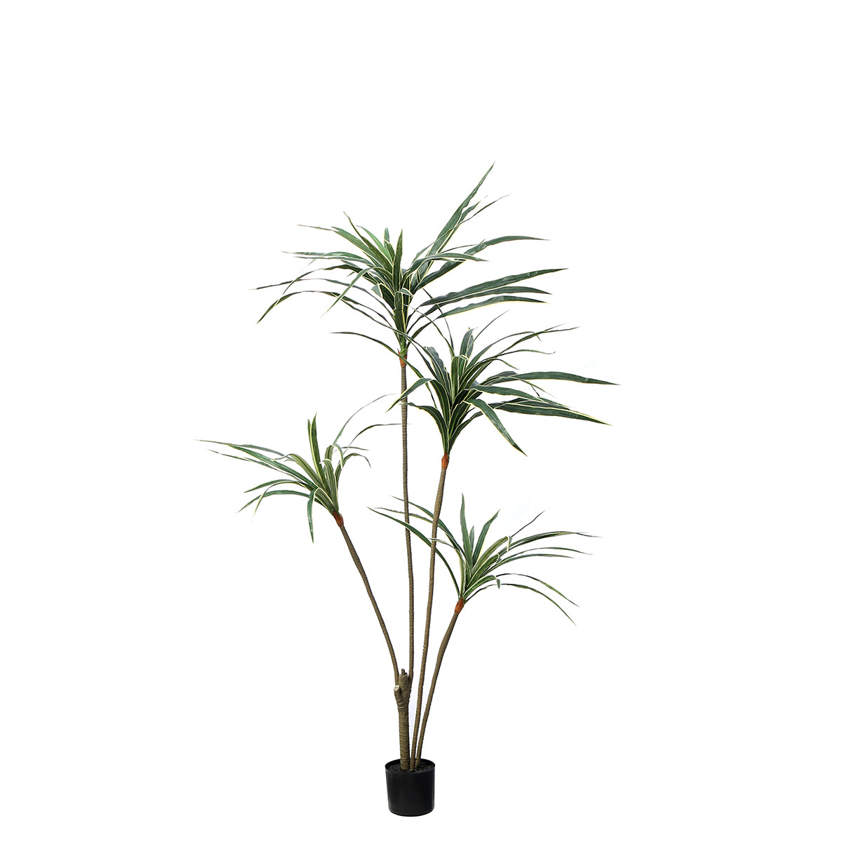sia-deco-noah-yucca-arbre-artificiel-vert-155-cm-en-pot image 1