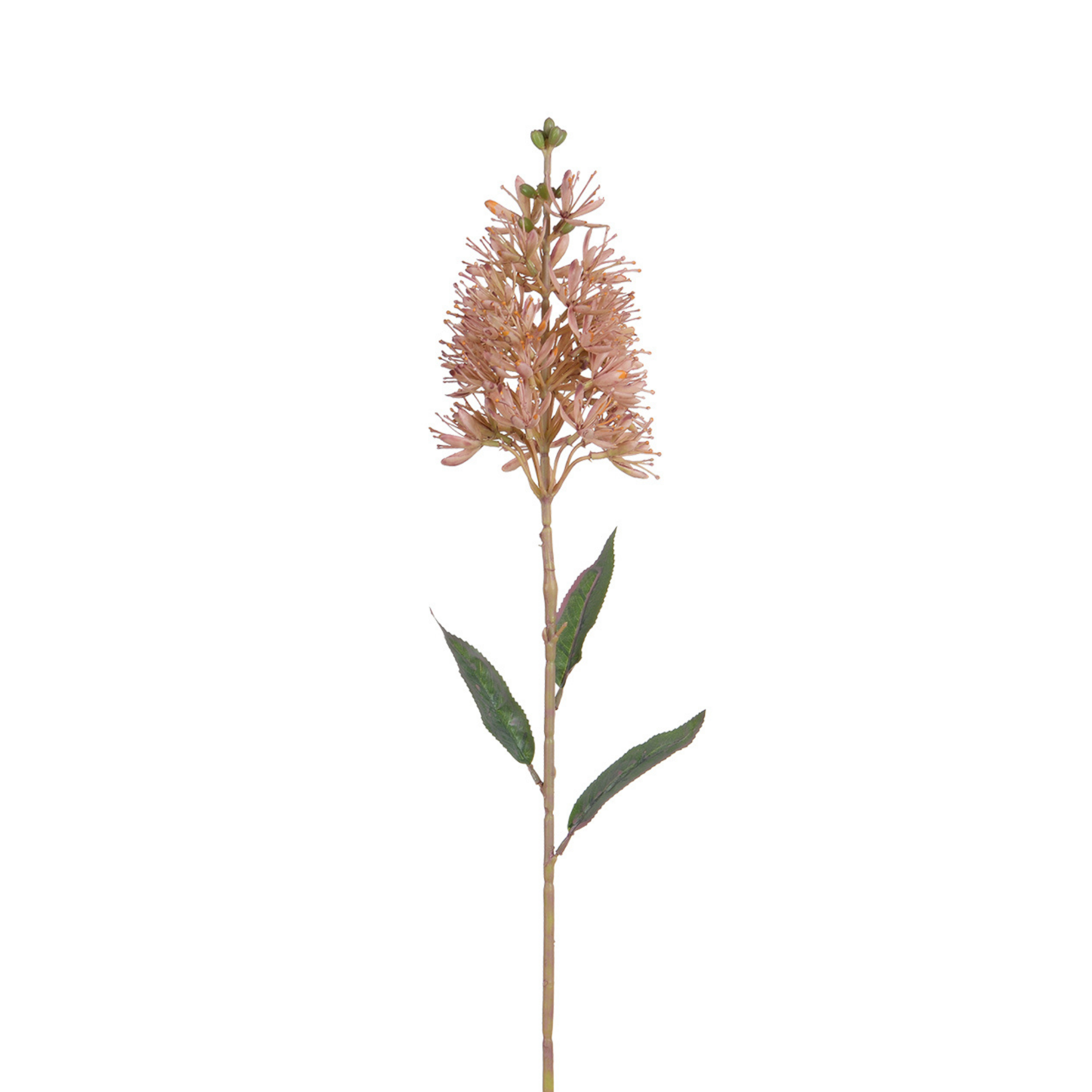 sia-noah-tige-allium-artificielle-blanche-78-cm image 4