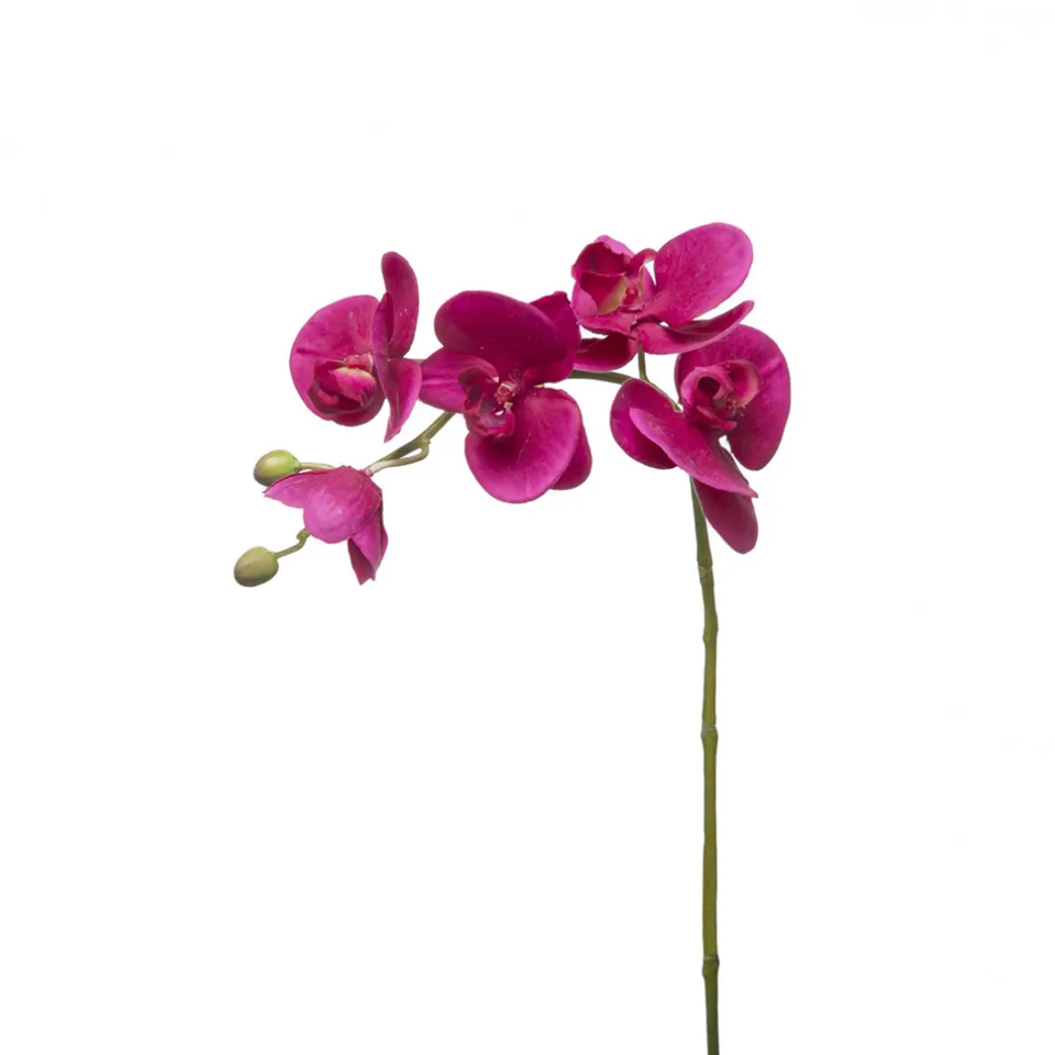 sia-deco-noah-forever-tige-orchid-e-artificielle-fuchsia image 1