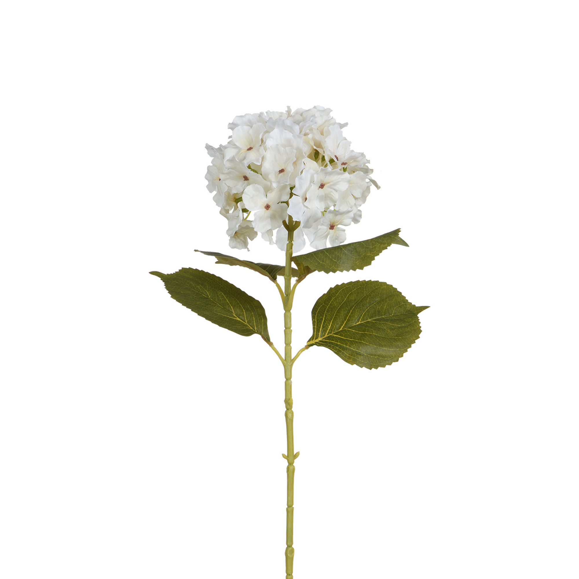 sia-noah-tige-hortensia-68-cm-marron-fleur-artificielle image 7