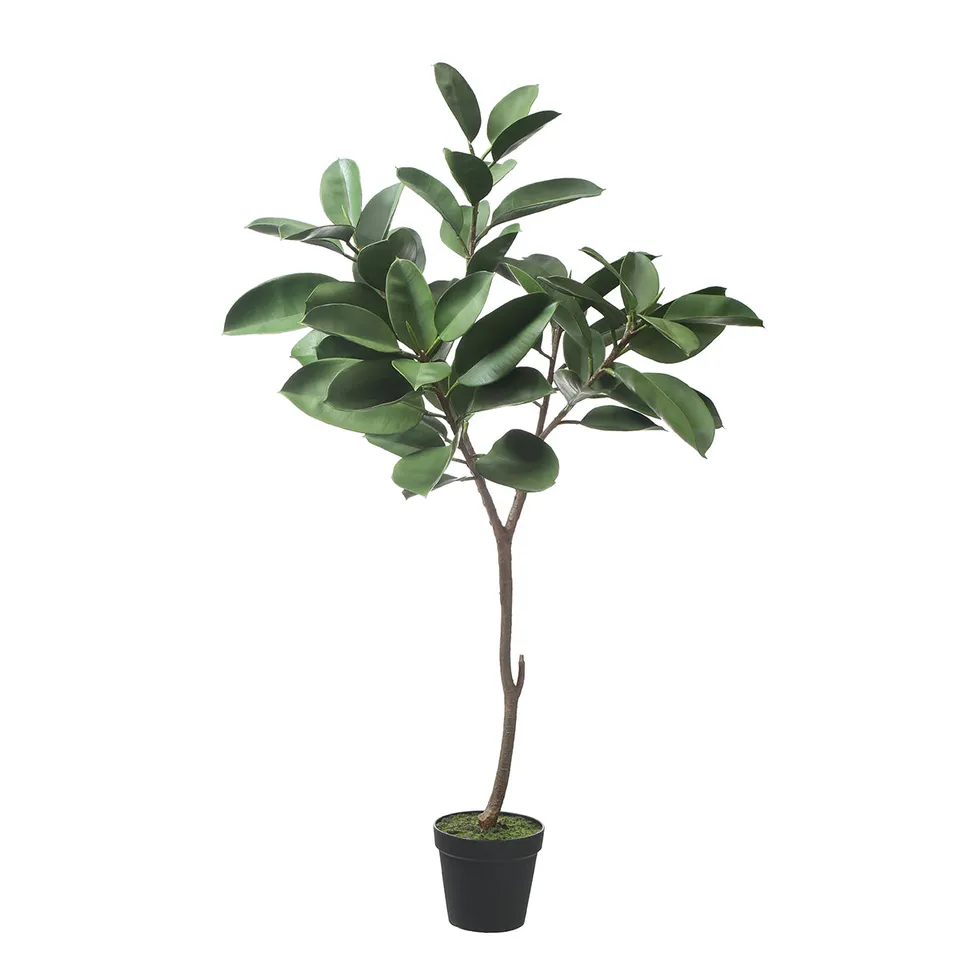 sia-noah-ficus-artificiel-vert-en-pot-165-cm-r-aliste image 1