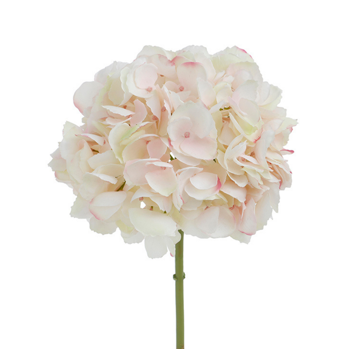 sia-noah-tige-hortensia-premium-bleu-48-cm image 4