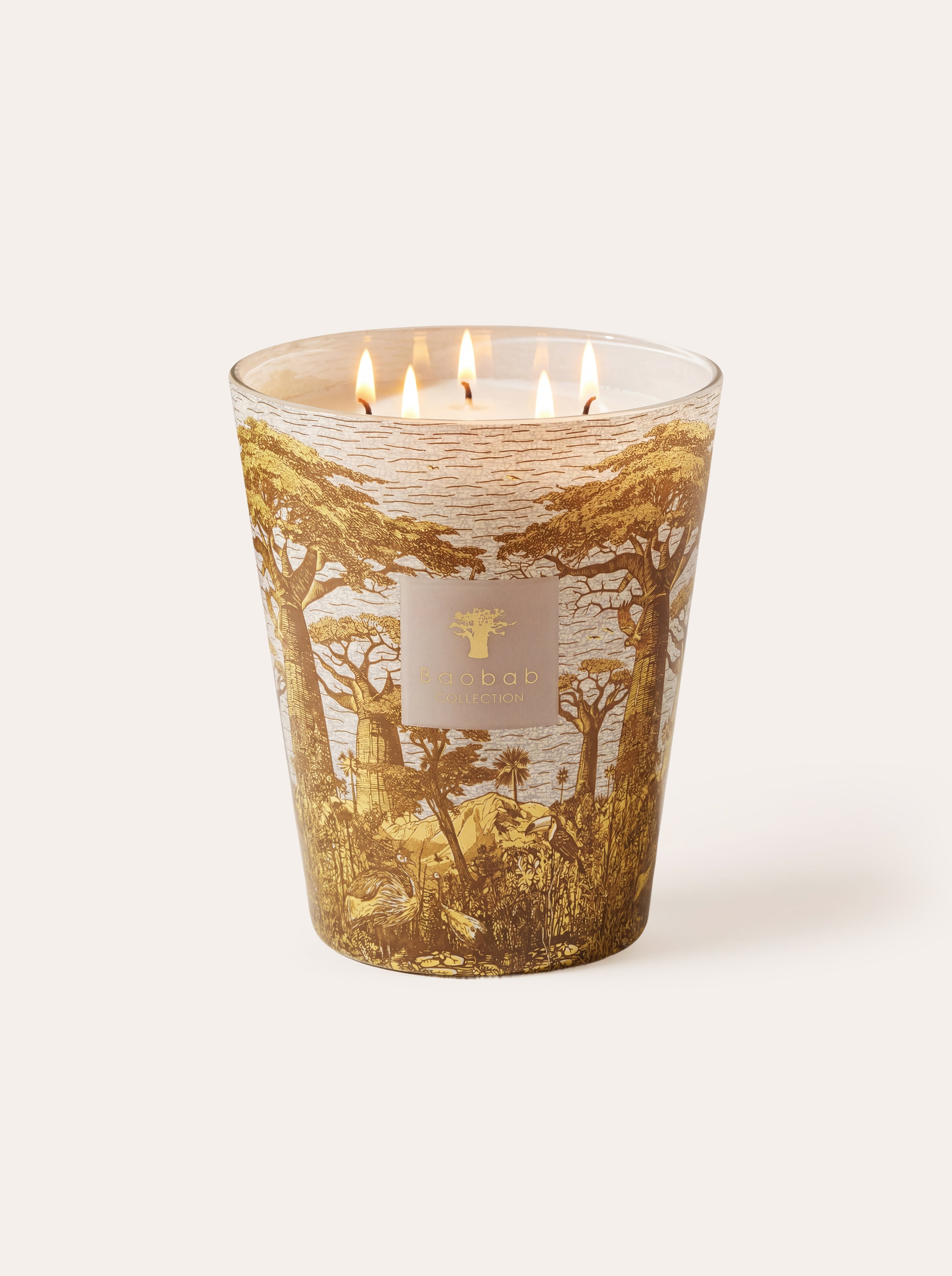 baobab-collection-sacred-trees-bounkani-bougie-parfum-e-classique image 1