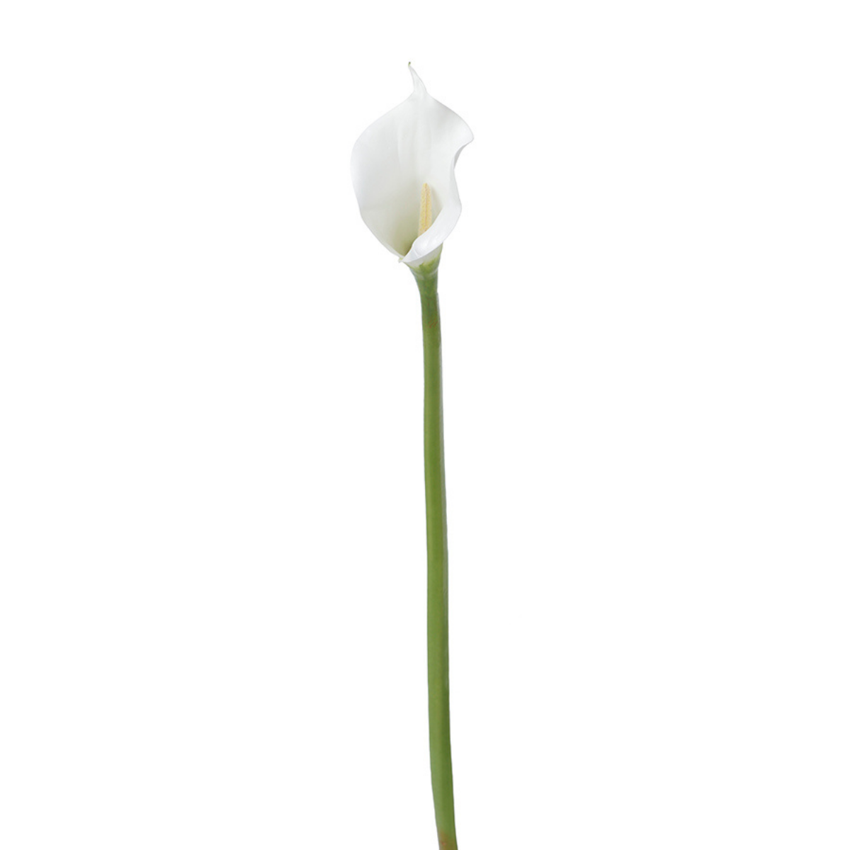 sia-deco-noah-tige-arum-artificielle-75cm-blanc image 5