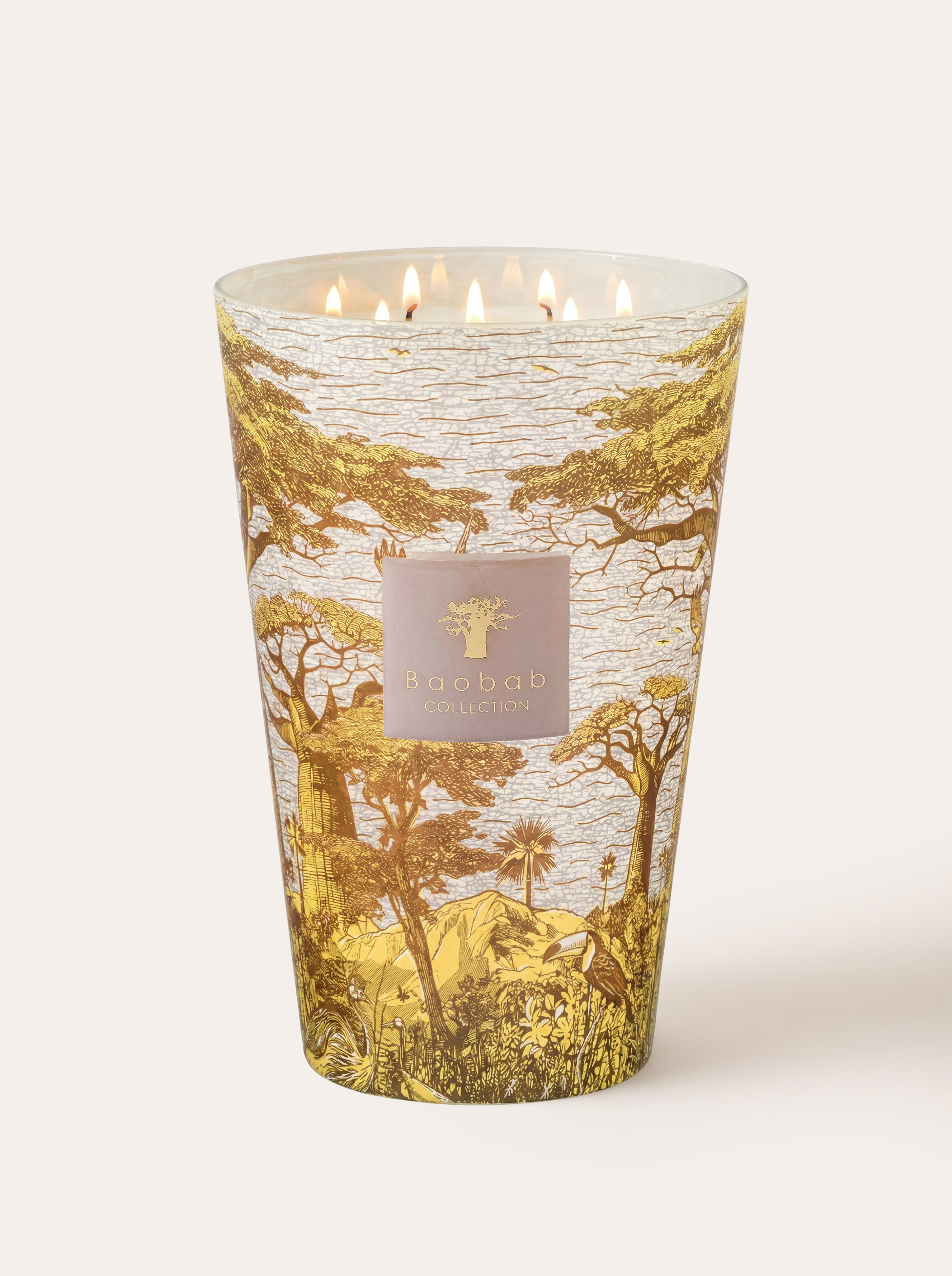 baobab-collection-sacred-trees-bounkani-bougie-parfum-e-classique image 6