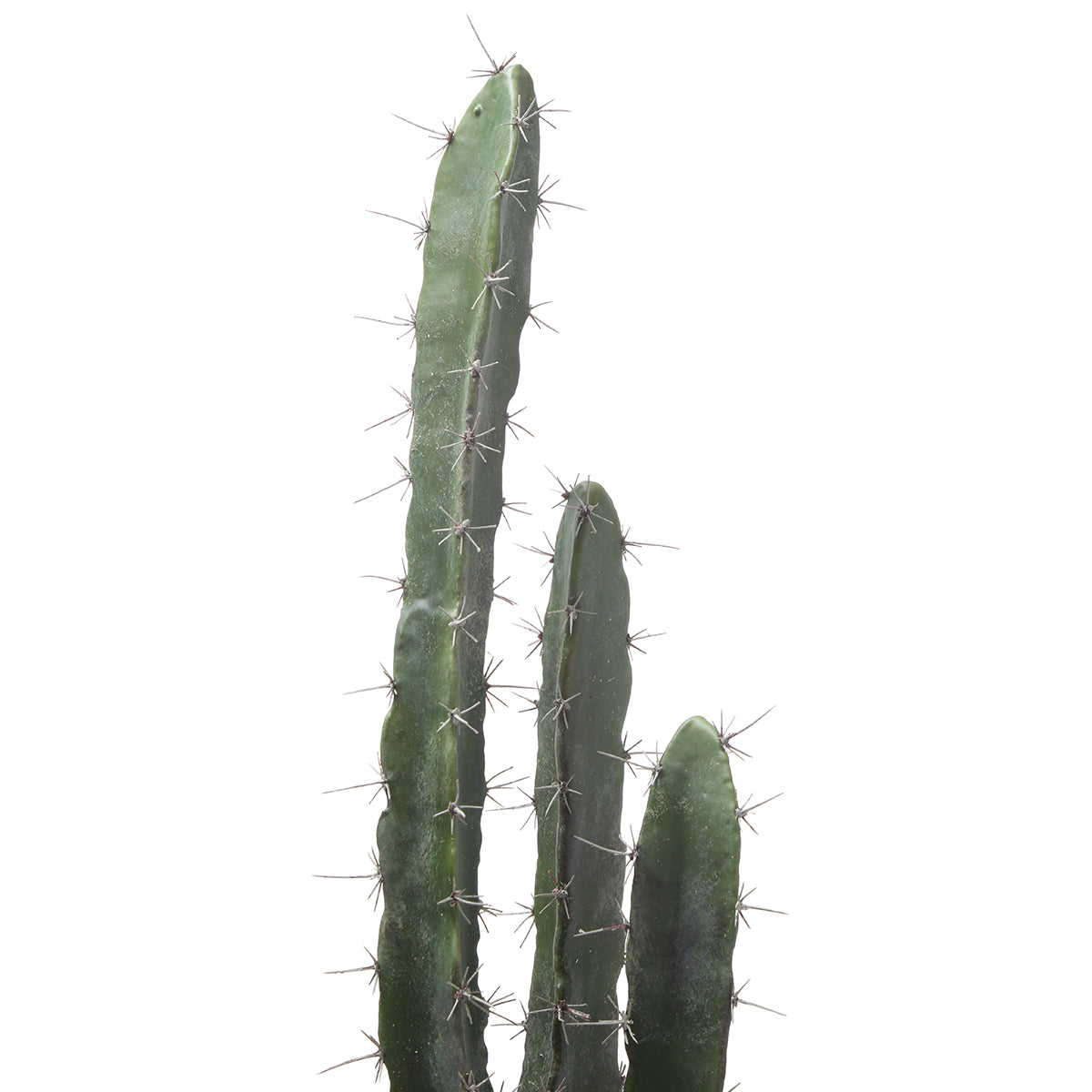 sia-deco-noah-cactus-pot-c-ramique-80-cm-vert image 4