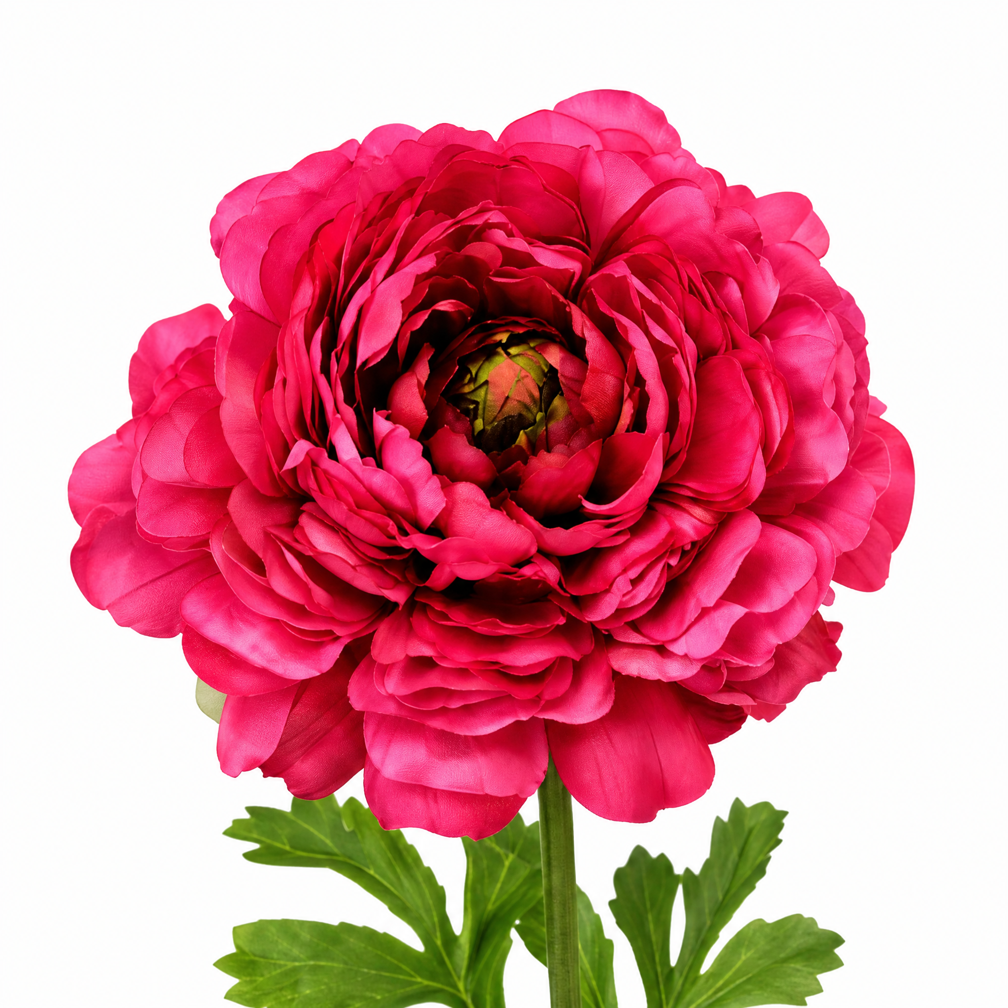 sia-deco-nora-tige-renoncule-artificielle-40-cm-rose-p-le image 6