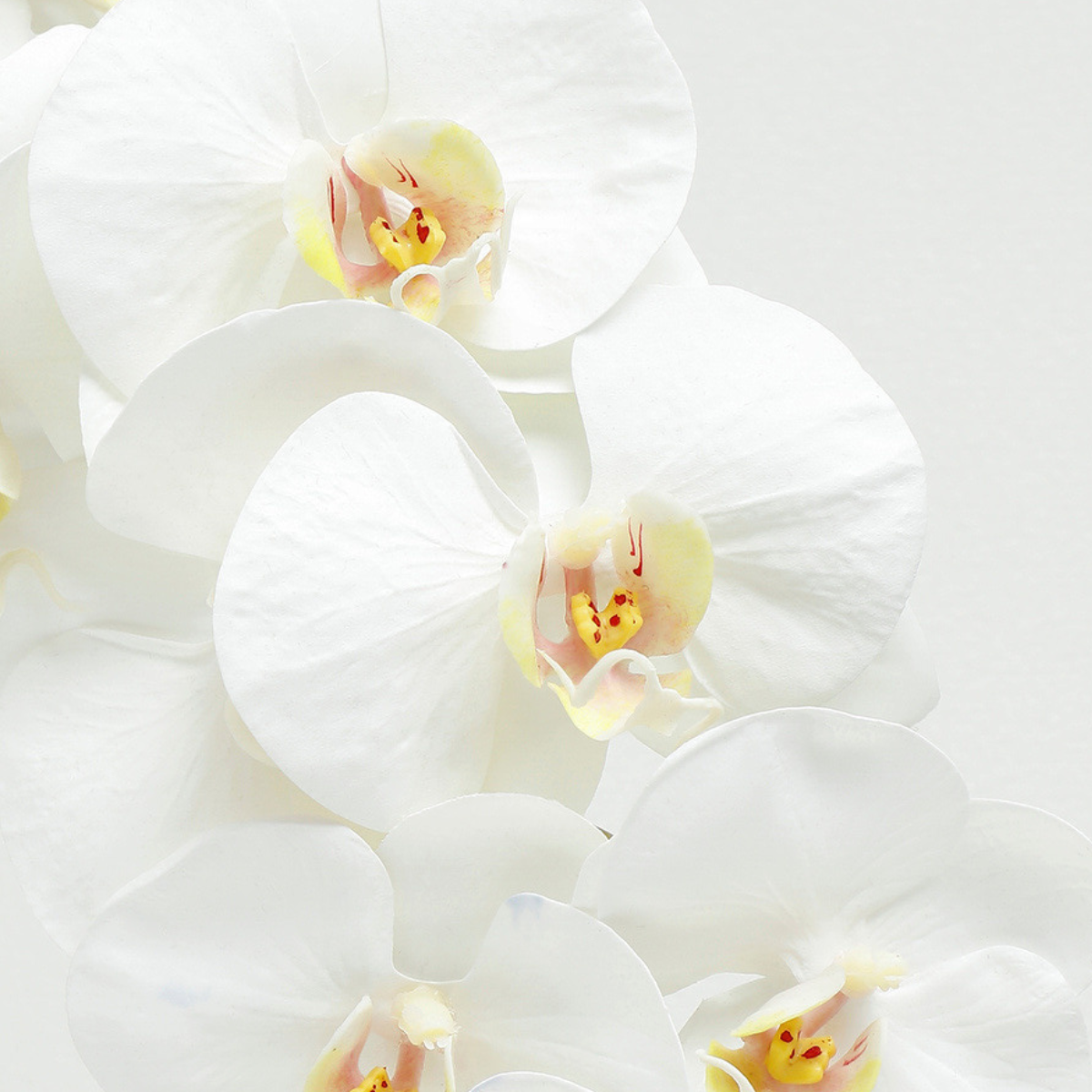 sia-deco-noah-tige-orchid-e-blanche-100cm-premium image 4