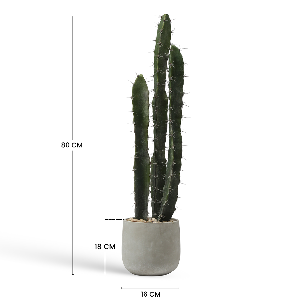 sia-deco-noah-cactus-pot-c-ramique-80-cm-vert image 6