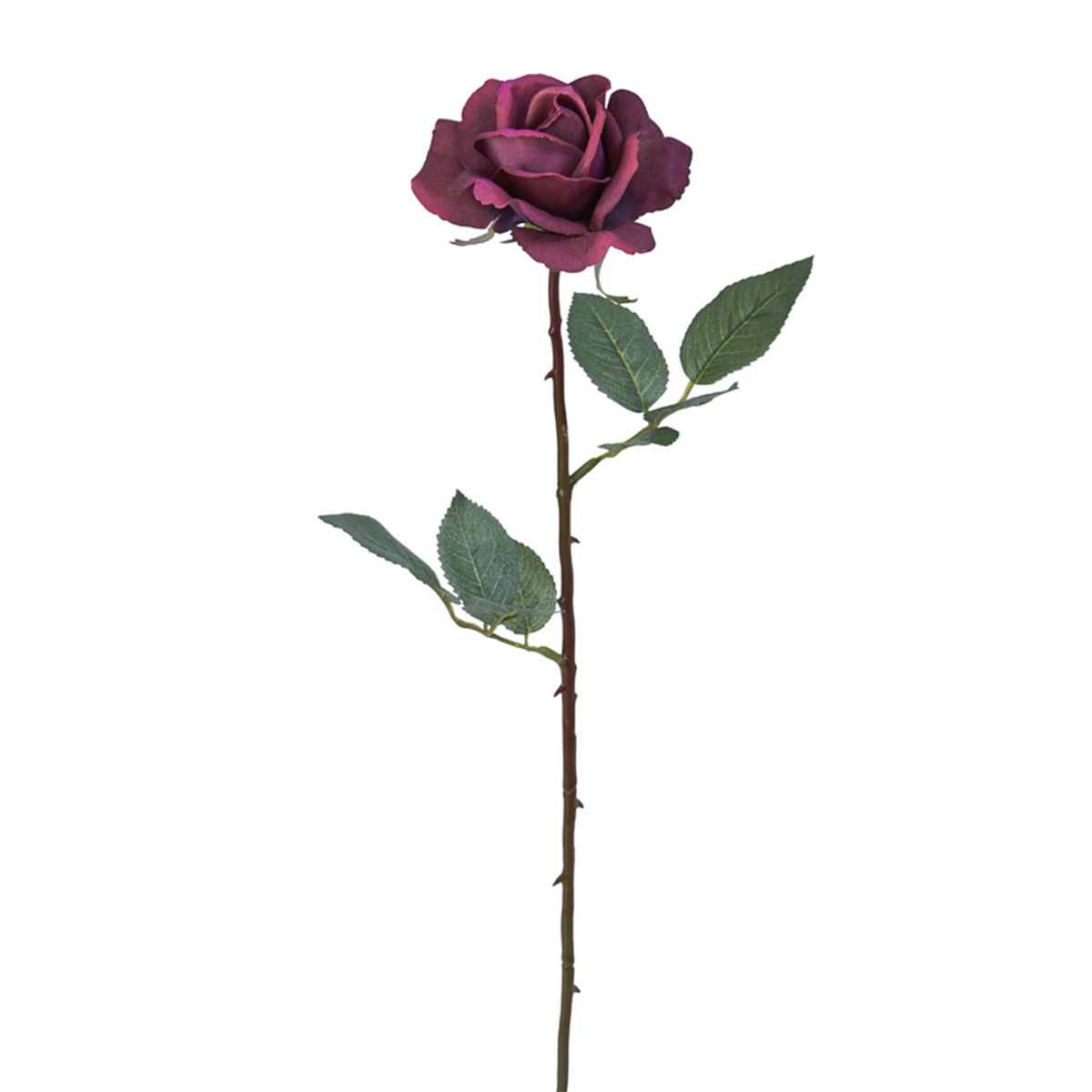 sia-deco-noah-tige-rose-sophia-65-cm-rose image 6