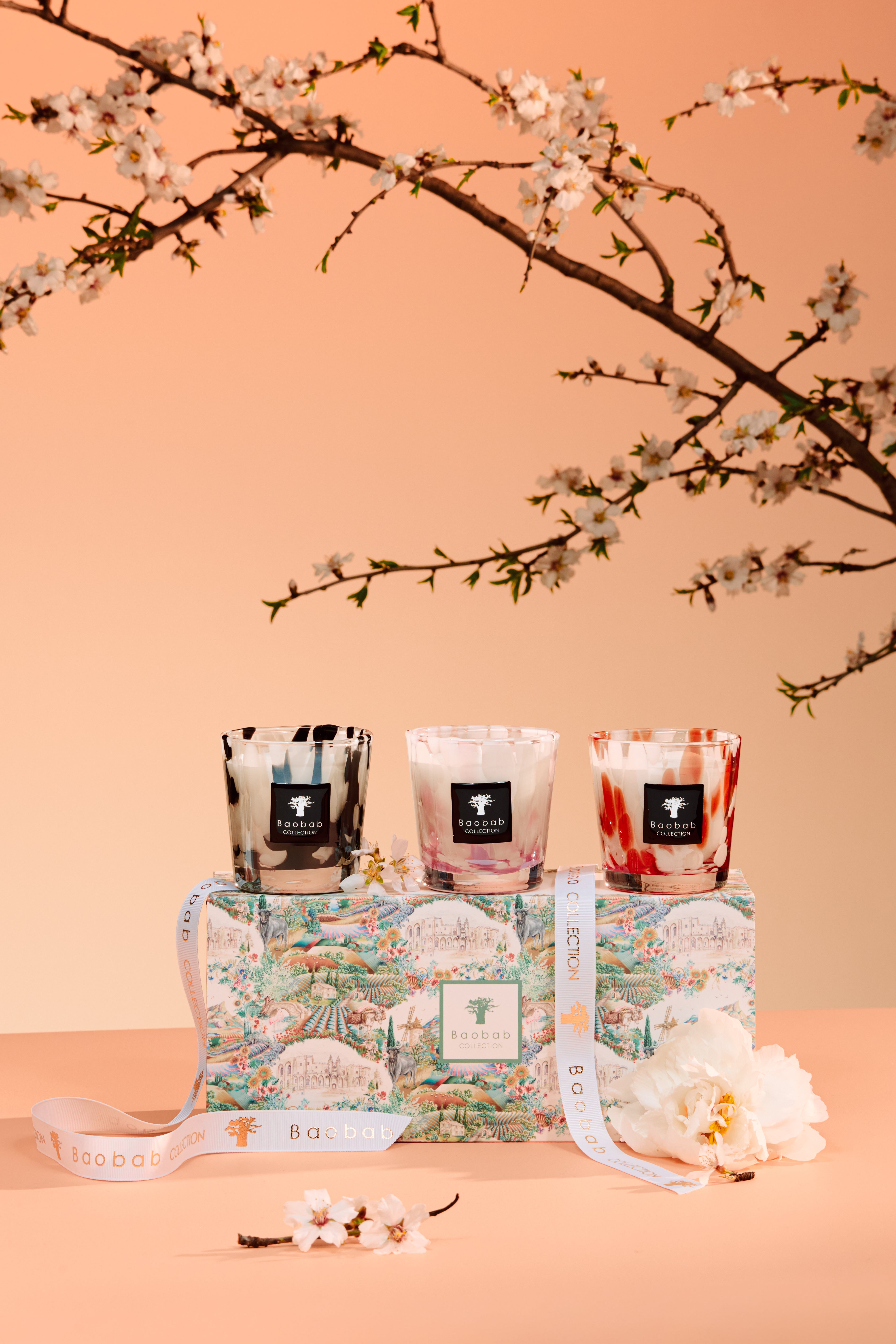 baobab-collection-pearls-trio-bougies-parfum-es-3x-petite image 2