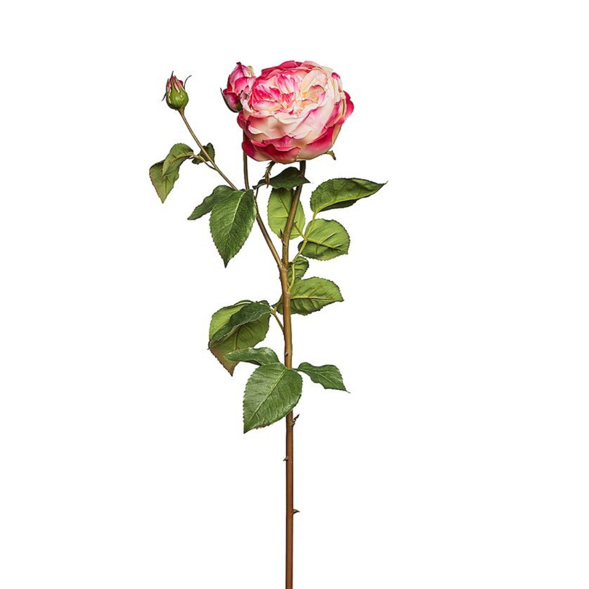 sia-deco-noah-david-tige-rose-ferm-e-artificielle-rose-p-le-80cm image 3