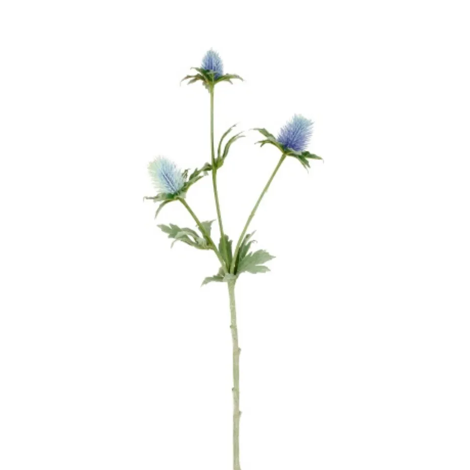 sia-noah-chardon-tige-artificielle-bleue-43-cm image 1