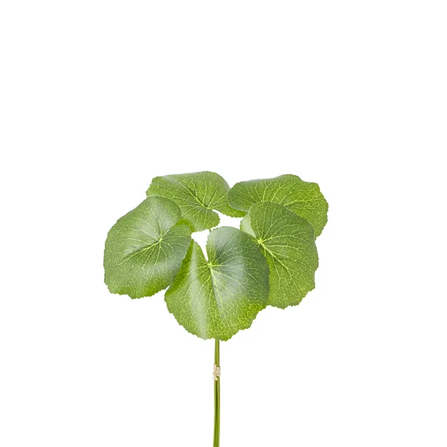 sia-noah-galax-feuillage-artificiel-vert-33-cm image 1