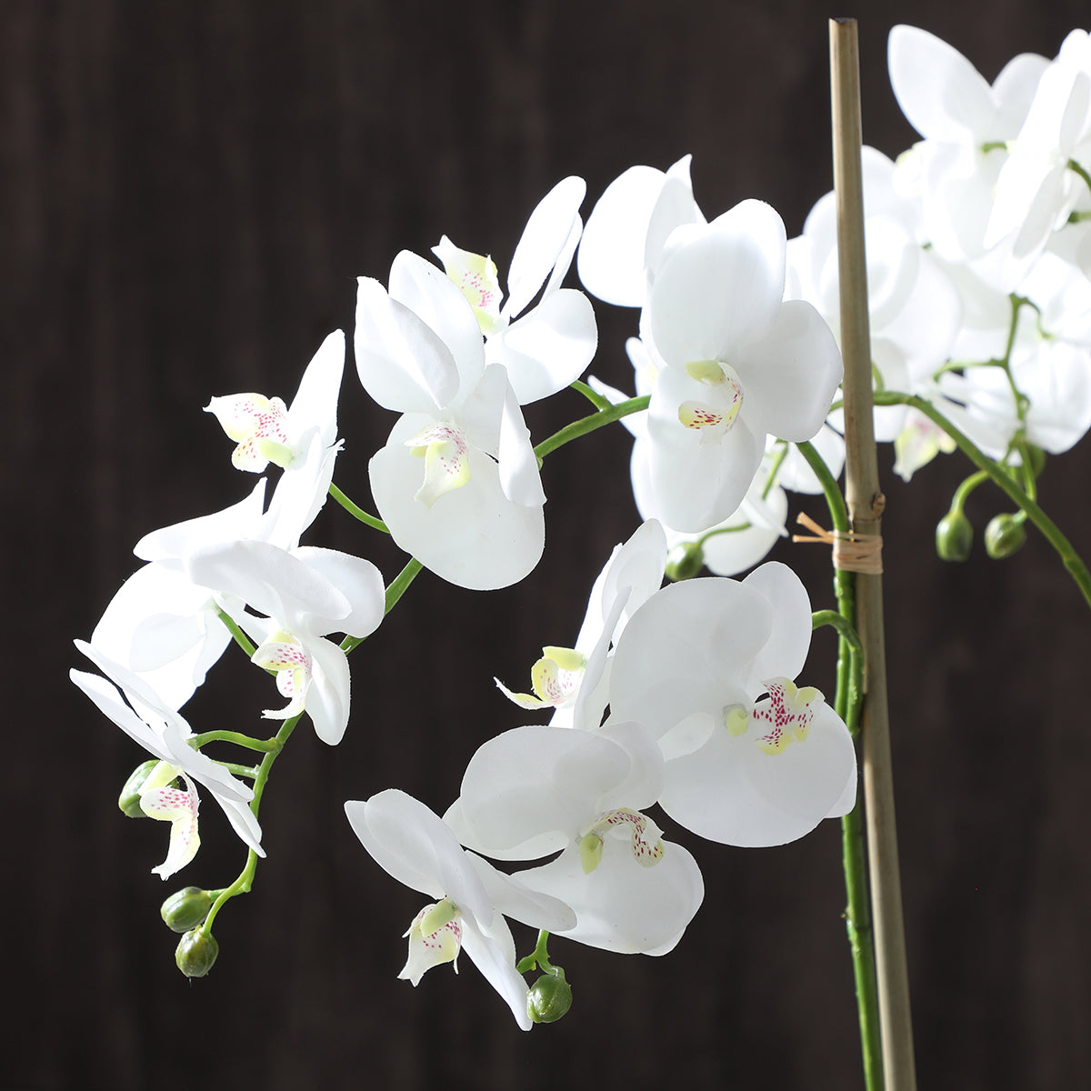sia-noah-lena-composition-orchid-e-artificielle-blanc-72cm image 5
