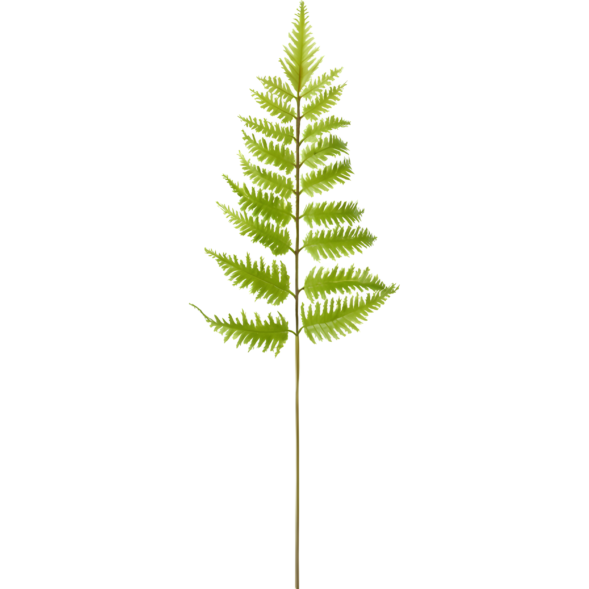sia-deco-noah-feuillage-foug-re-vert-55cm image 1