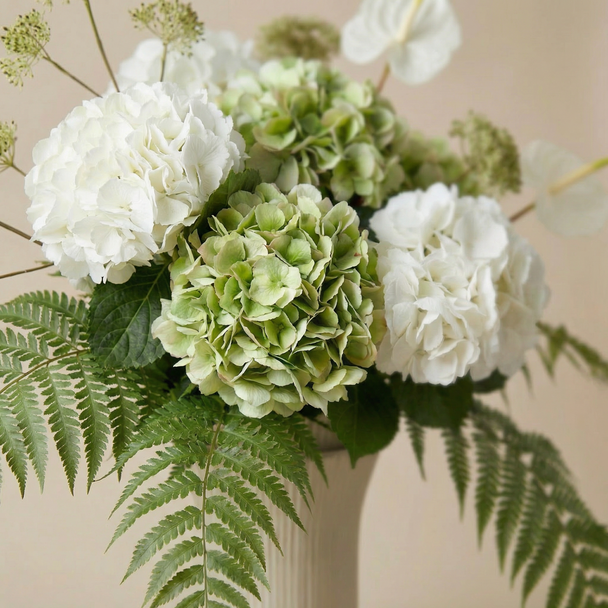 sia-noah-bouquet-hortensias-lora-blanc-vert-7-tiges image 3