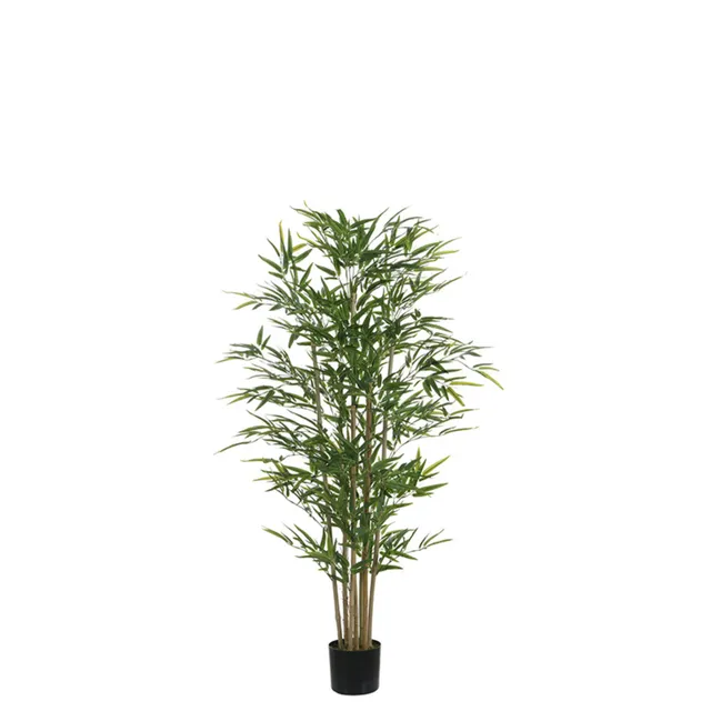 sia-noah-bambou-en-pot-vert-150-cm-naturel image 1