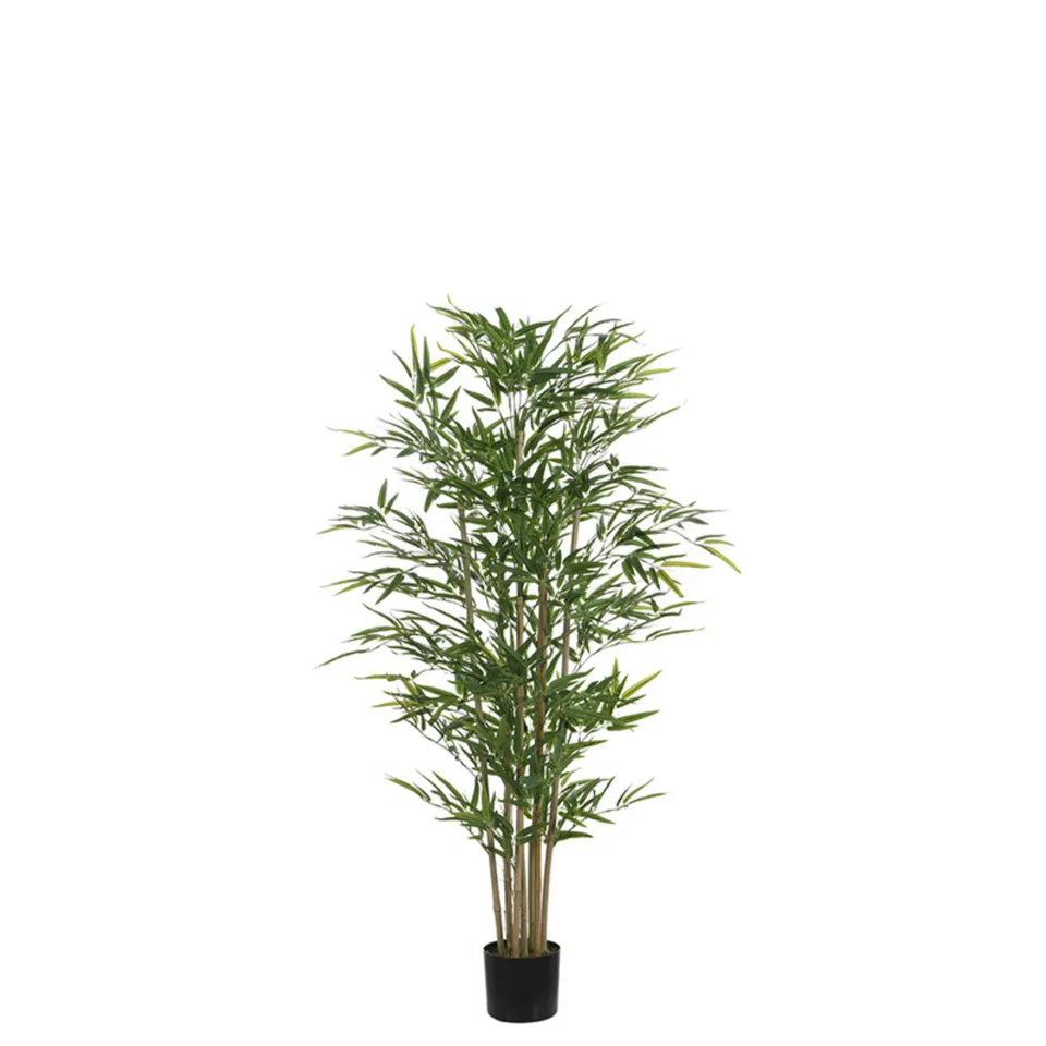 sia-noah-bambou-en-pot-vert-150-cm-naturel image 1