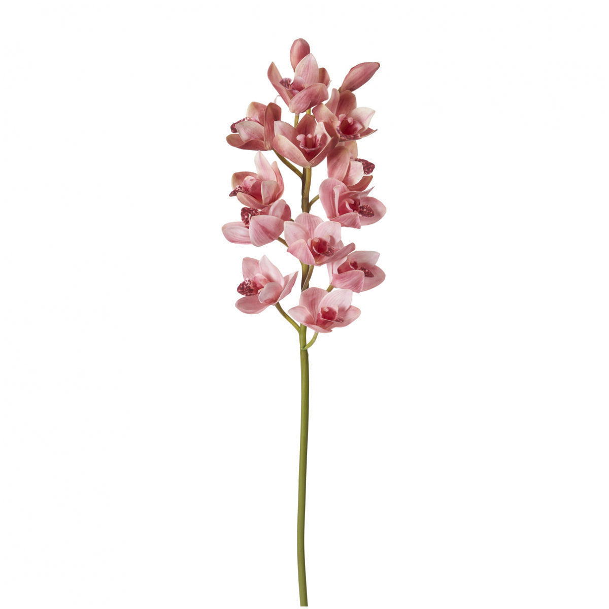 sia-deco-noah-tige-orchid-e-cymbidium-rose-100-cm image 1