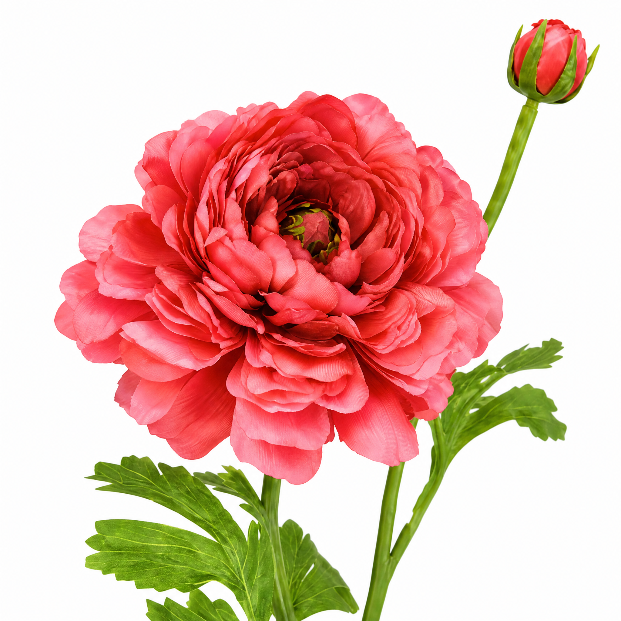sia-deco-nora-tige-renoncule-artificielle-40-cm-rose-p-le image 4