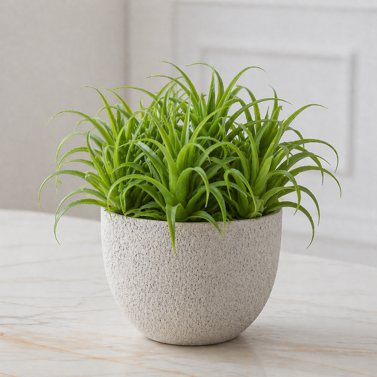 sia-deco-noah-tillandsia-artificielle-20-cm-vert-tige image 2