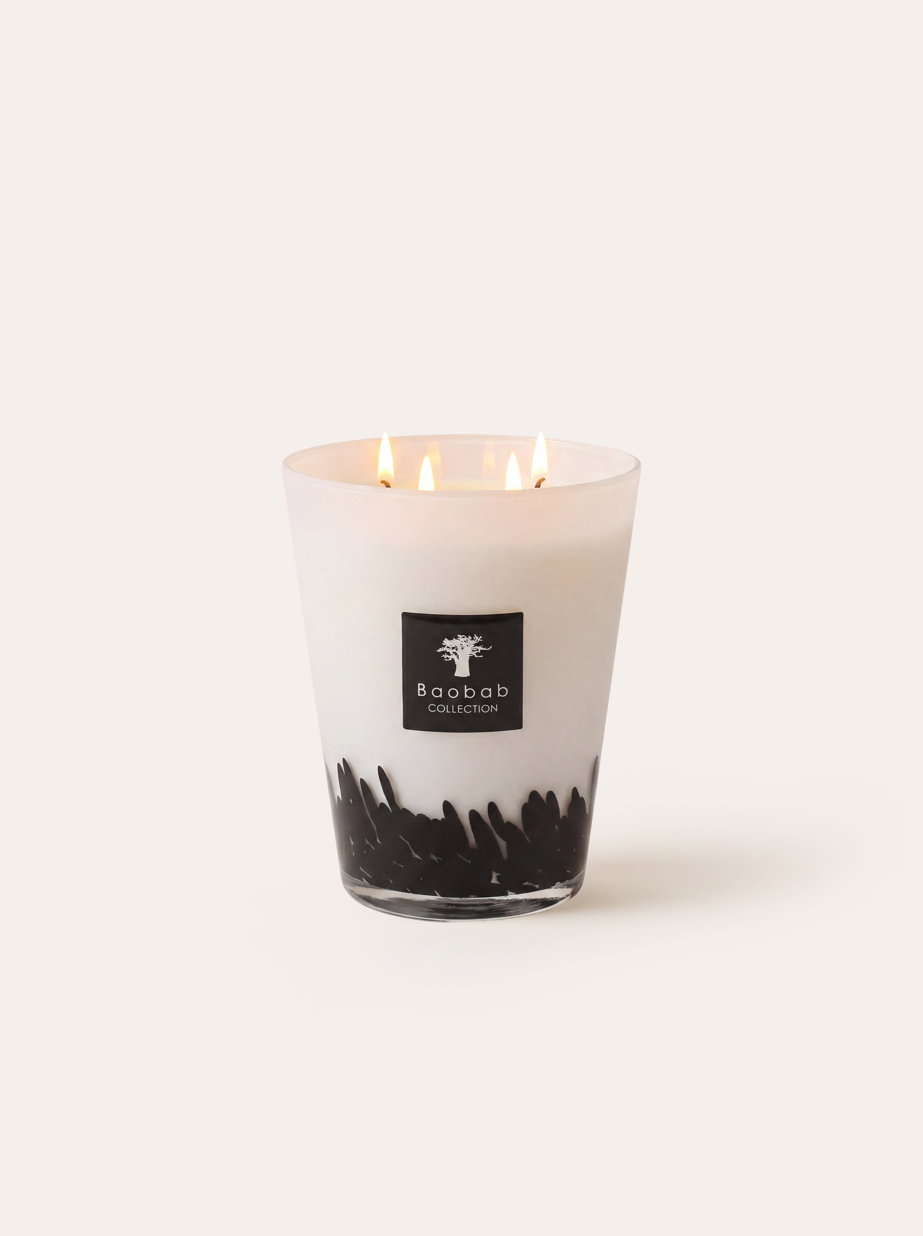 baobab-collection-feathers-bougie-parfum-e-classique-verre-noir image 6