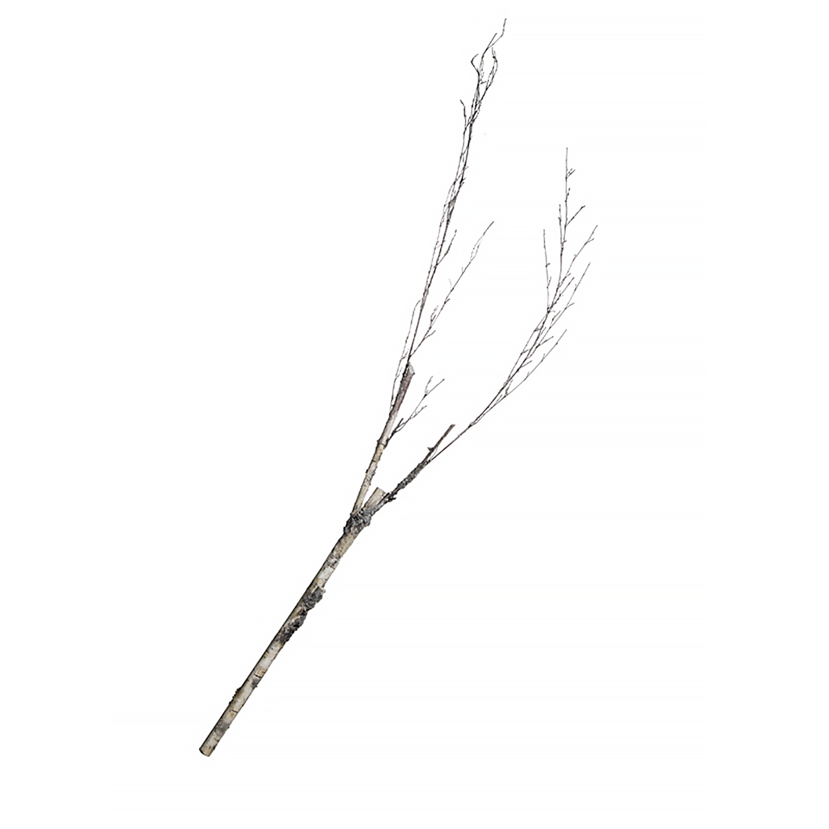 sia-noah-branche-de-boulot-blanc-173-cm image 1
