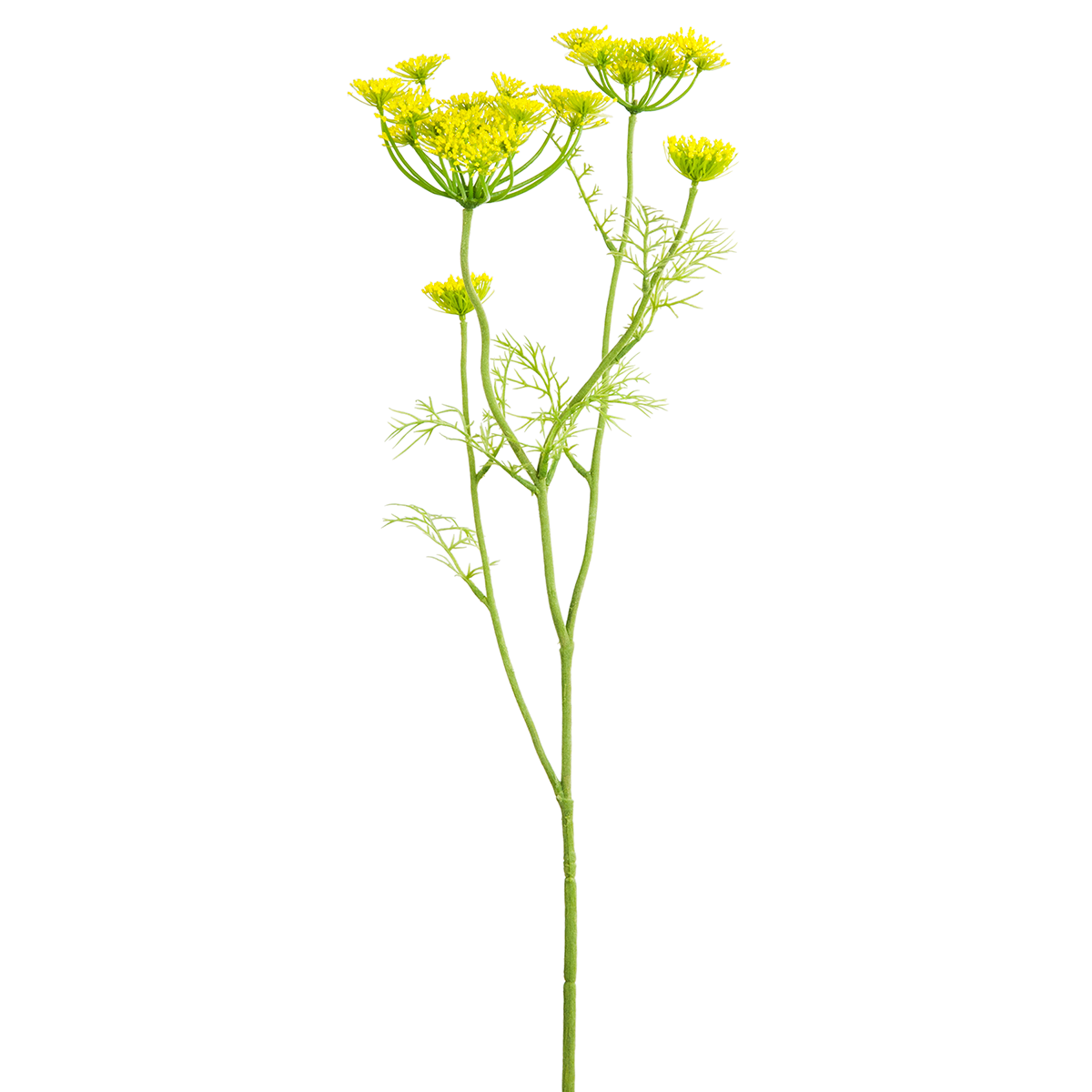 sia-deco-noah-carotte-sauvage-tige-fleur-jaune-75-cm image 1