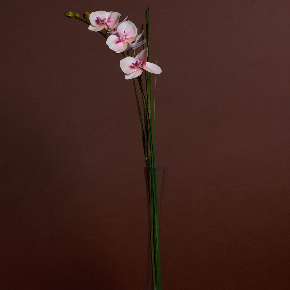 sia-deco-noah-orchid-e-eau-60-cm-cr-me-verre image 6