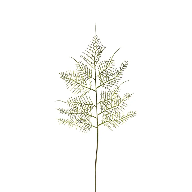 sia-deco-noah-asparagus-feuillage-artificiel-vert-62-cm-tige-fine image 1