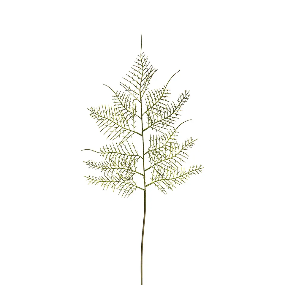 sia-deco-noah-asparagus-feuillage-artificiel-vert-62-cm-tige-fine image 1